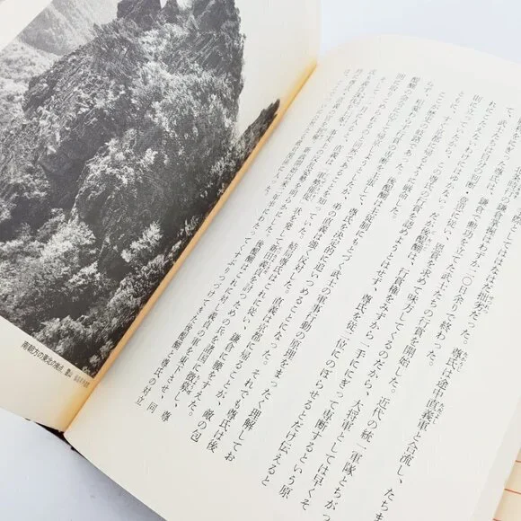 History of Birdman Japan Century Civil War & People Japanese Book Nagahara 1988 - Picture 7 of 12